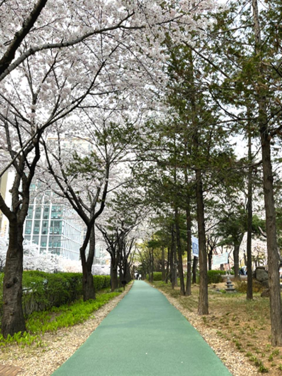 Jeongdam Hotel Seoel Buitenkant foto